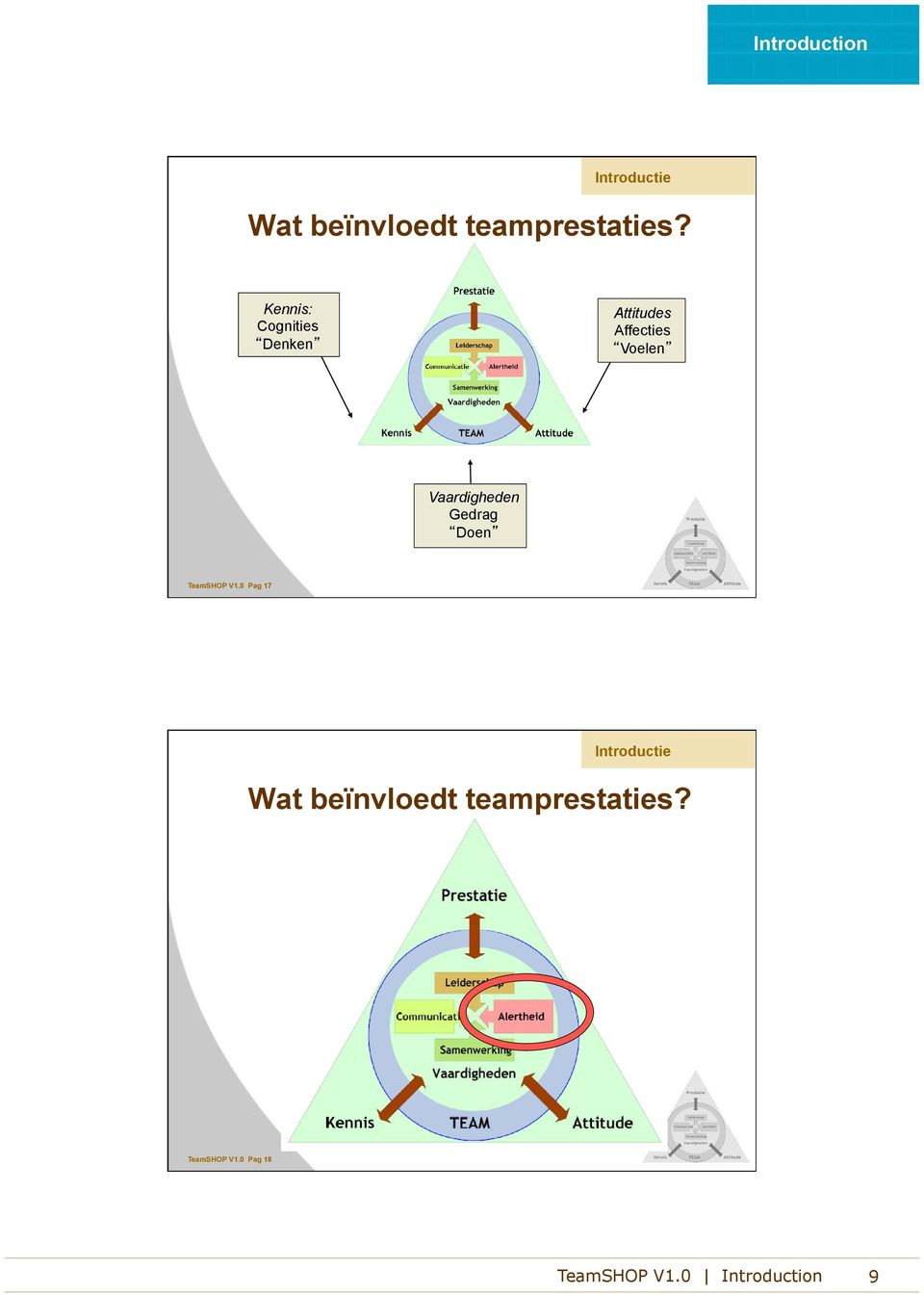 Voelen Vaardigheden Gedrag Doen TeamSHOP V1.