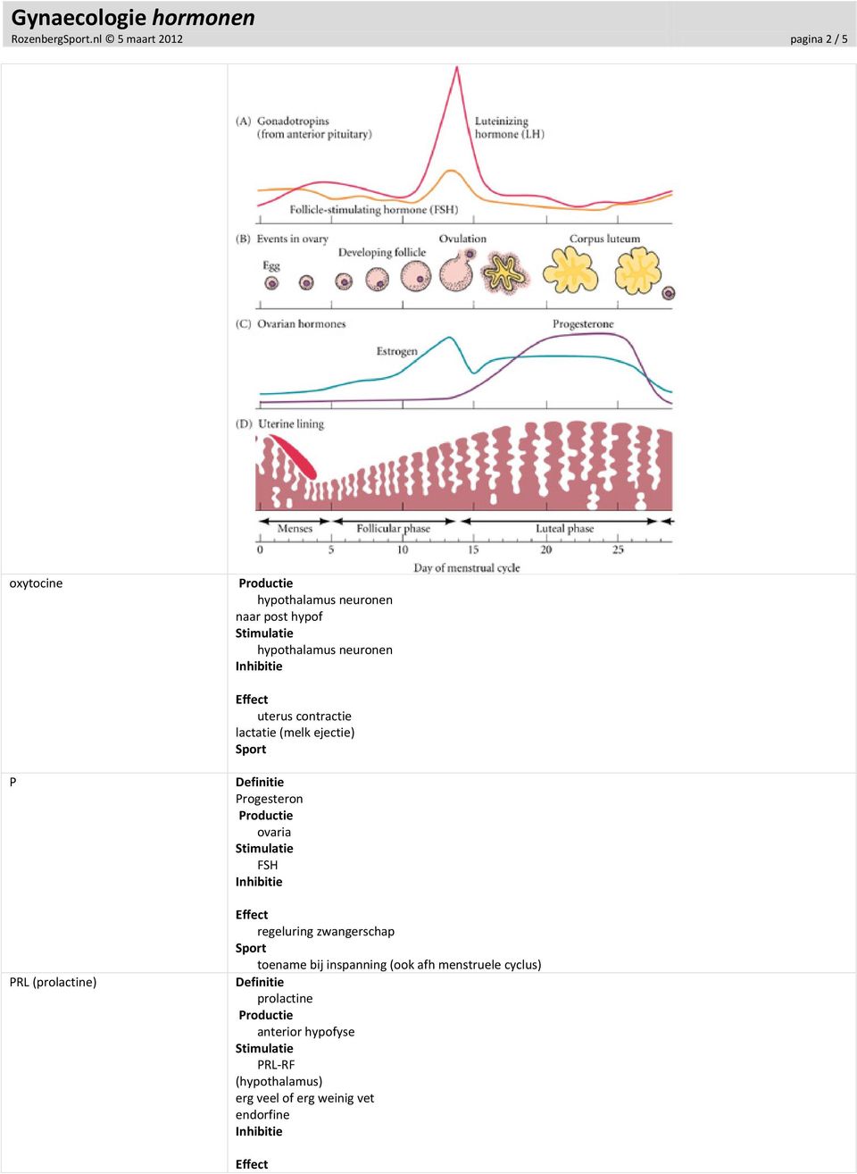 hypothalamus neuronen uterus contractie lactatie (melk ejectie) P PRL