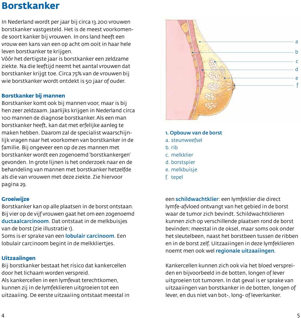 Na die leeftijd neemt het aantal vrouwen dat borstkanker krijgt toe. Circa 75% van de vrouwen bij wie borstkanker wordt ontdekt is 50 jaar of ouder.