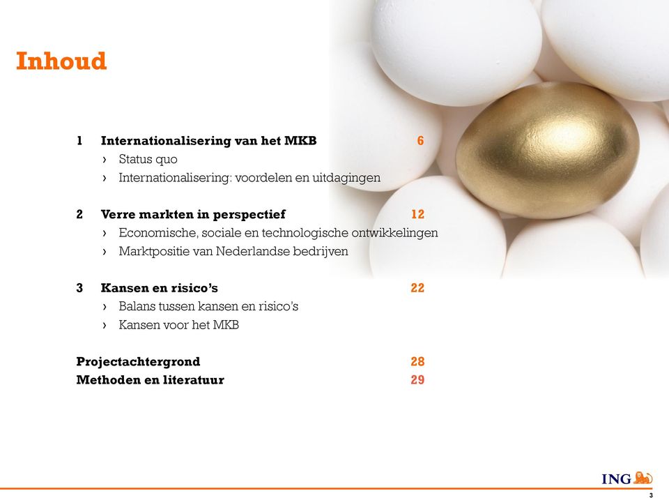 ontwikkelingen Marktpositie van Nederlandse bedrijven 3 Kansen en risico s 22 Balans