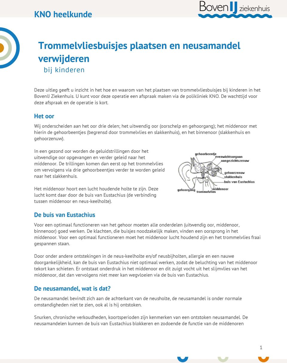 Het oor Wij onderscheiden aan het oor drie delen; het uitwendig oor (oorschelp en gehoorgang); het middenoor met hierin de gehoorbeentjes (begrensd door trommelvlies en slakkenhuis), en het binnenoor