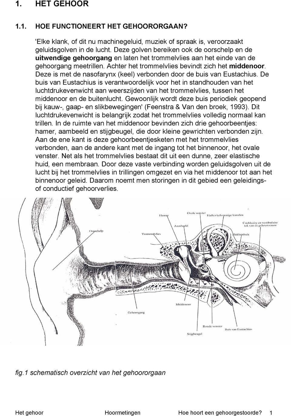 Deze is met de nasofarynx (keel) verbonden door de buis van Eustachius.