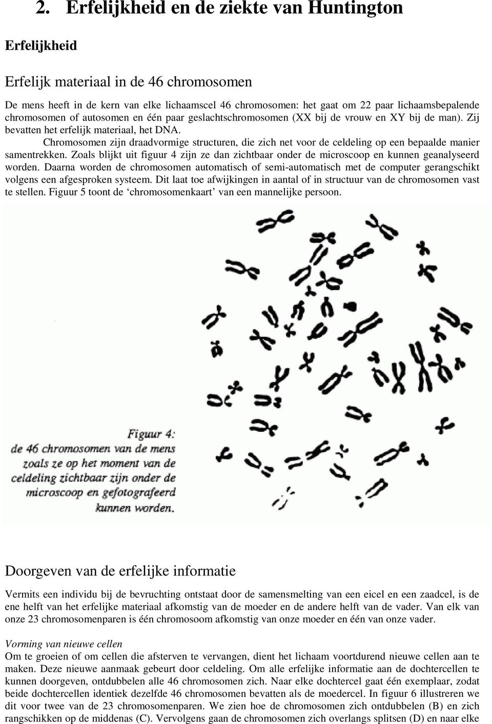 Chromosomen zijn draadvormige structuren, die zich net voor de celdeling op een bepaalde manier samentrekken.