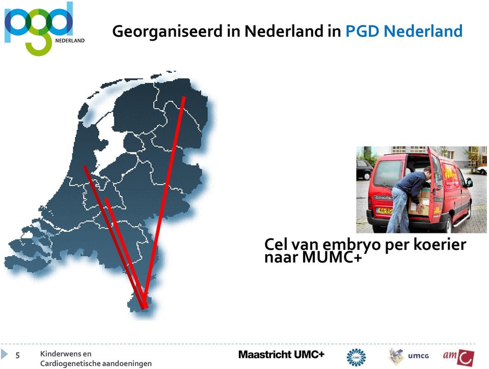 Nederland Cel van embryo