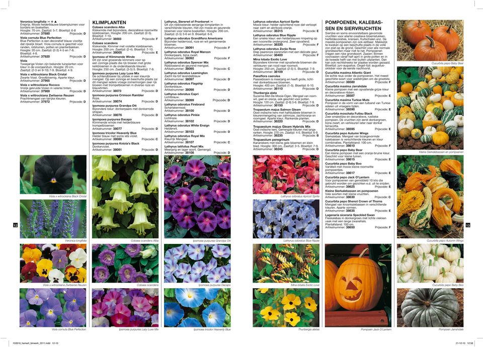 Viola cornuta is geschikt voor randen, rotstuinen, potten en plantenbakken. Hoogte: 20 cm. Zaaitijd: (2-3) 4-5 en 7-8. Bloeitijd: 4-8.