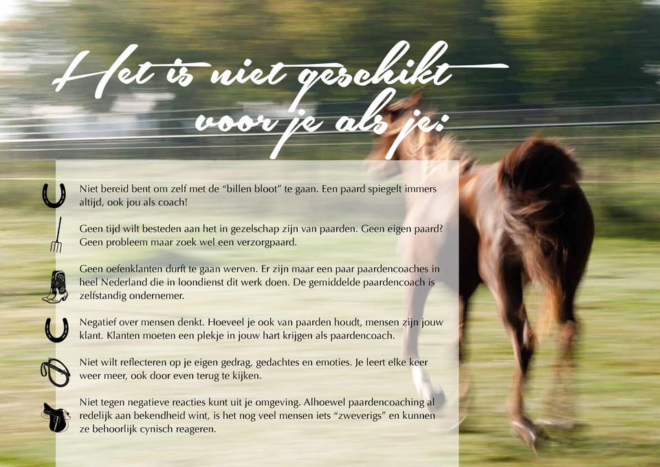 Er zijn maar een paar paardencoaches in heel Nederland die in loondienst dit werk doen. De gemiddelde paardencoach is zelfstandig ondernemer. Negatief over mensen denkt.