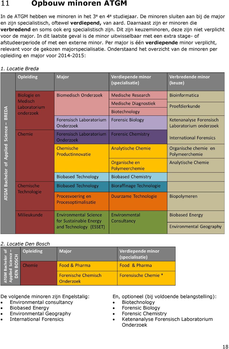 In dit laatste geval is de minor uitwisselbaar met een extra stage- of afstudeerperiode of met een externe minor.