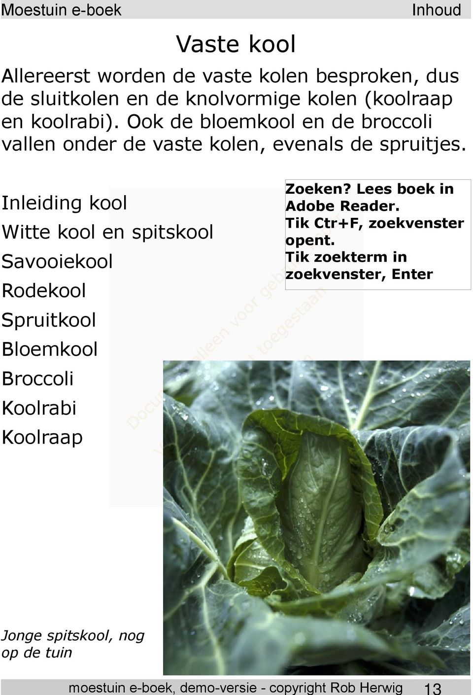 Ook de bloemkool en de broccoli vallen onder de vaste kolen, evenals de spruitjes.