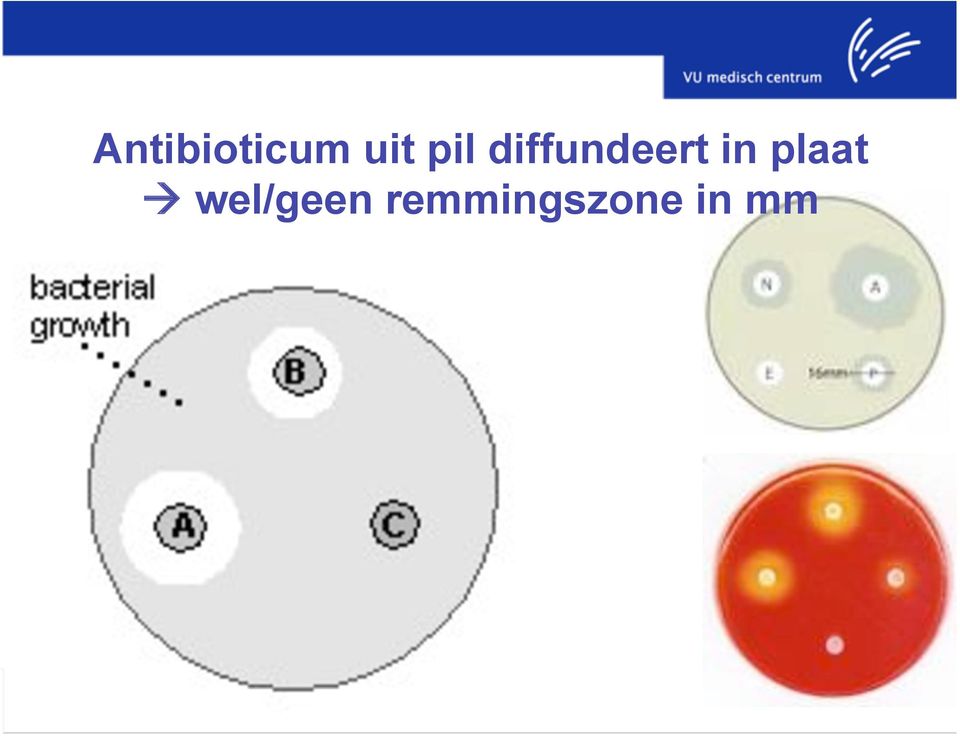 in plaat wel/geen