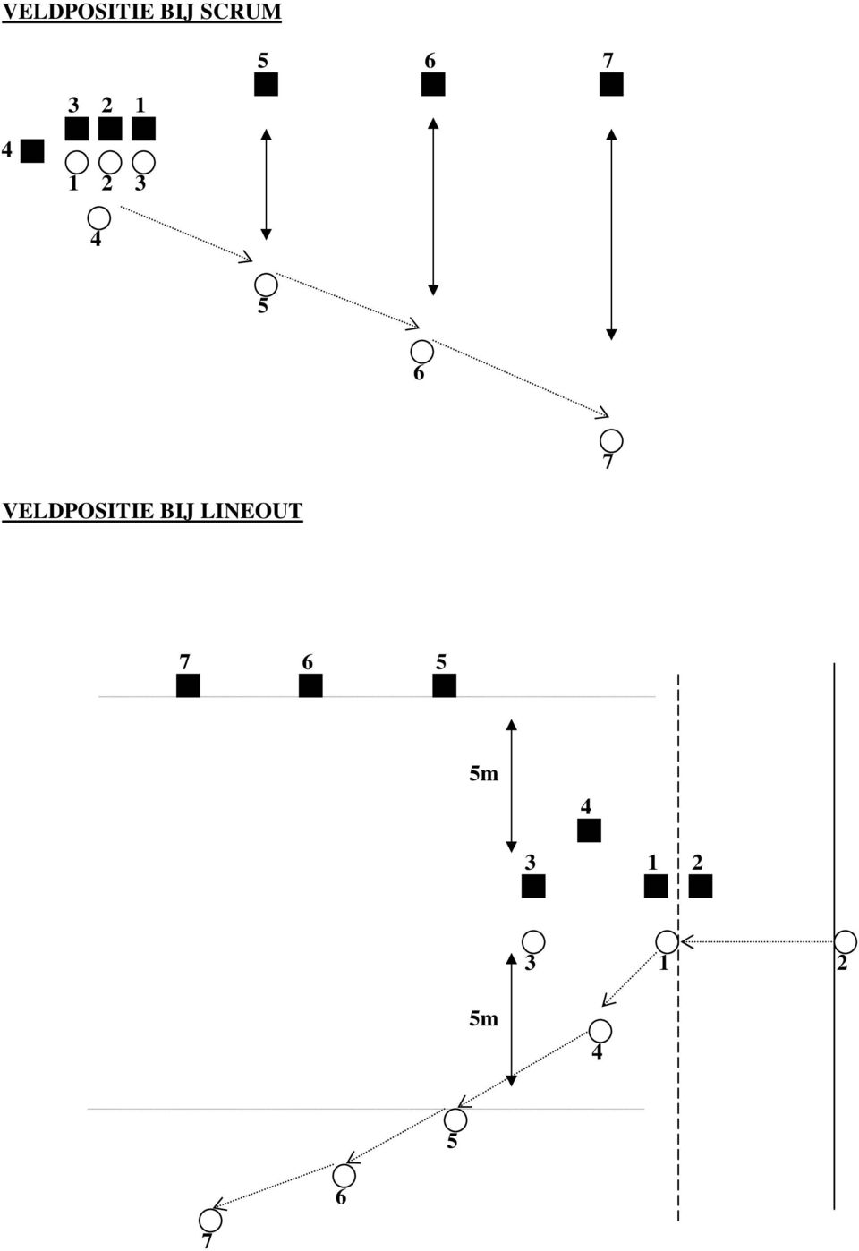 VELDPOSITIE BIJ LINEOUT 7