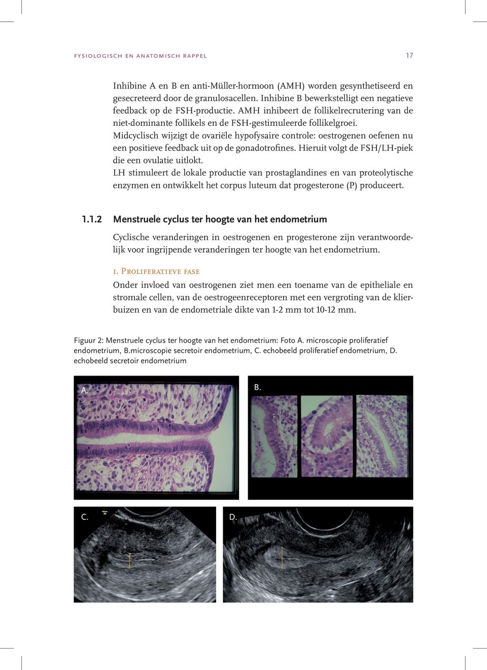 Midcyclisch wijzigt de ovariële hypofysaire controle: oestrogenen oefenen nu een positieve feedback uit op de gonadotrofines. Hieruit volgt de FSH/LH-piek die een ovulatie uitlokt.