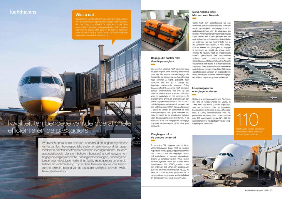 De passagier print zelf bij de automaat zijn instapkaart en bagagelabel en hoeft dus alleen nog maar zijn bagage af te geven in de daarvoor bestemde zone, zonder in de rij te hoeven staan.