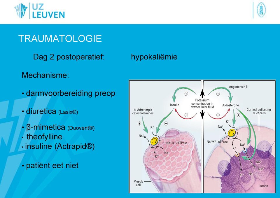 preop diuretica (Lasix ) β-mimetica