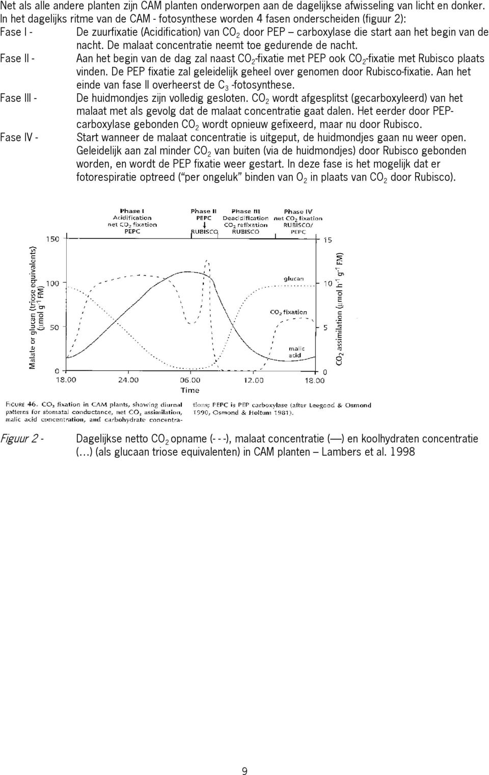 De malaat concentratie neemt toe gedurende de nacht. Fase II - Aan het begin van de dag zal naast CO 2 -fixatie met PEP ook CO 2 -fixatie met Rubisco plaats vinden.