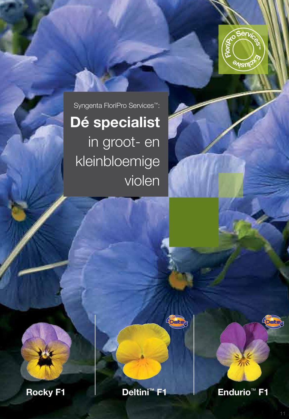 Dé specialist in groot- en