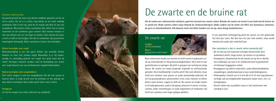 Veel mensen moeten er niet aan denken om een rat tegen te komen. Toch bestaat die kans, u kunt ze zelfs in huis krijgen. Om dat te voorkomen zijn preventieve maatregelen belangrijk.