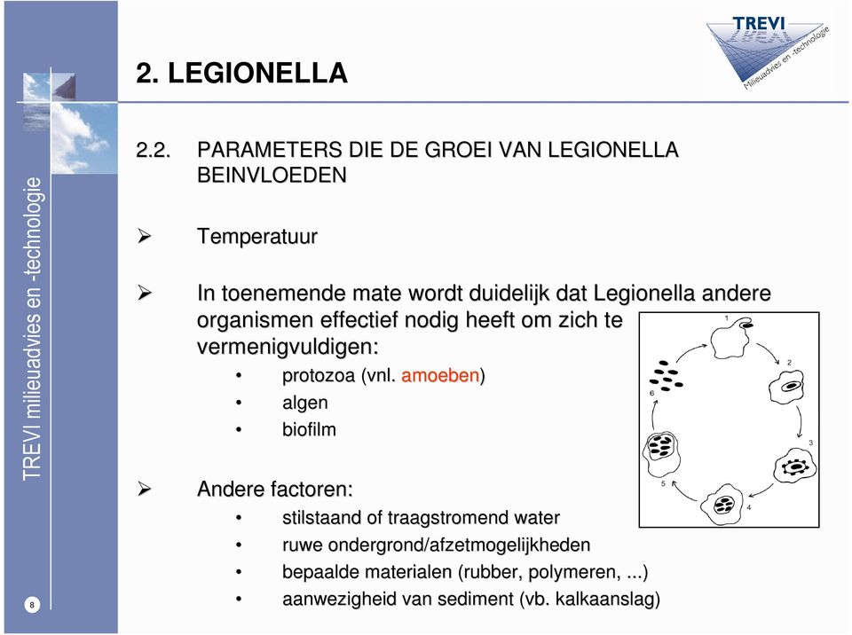 protozoa (vnl.