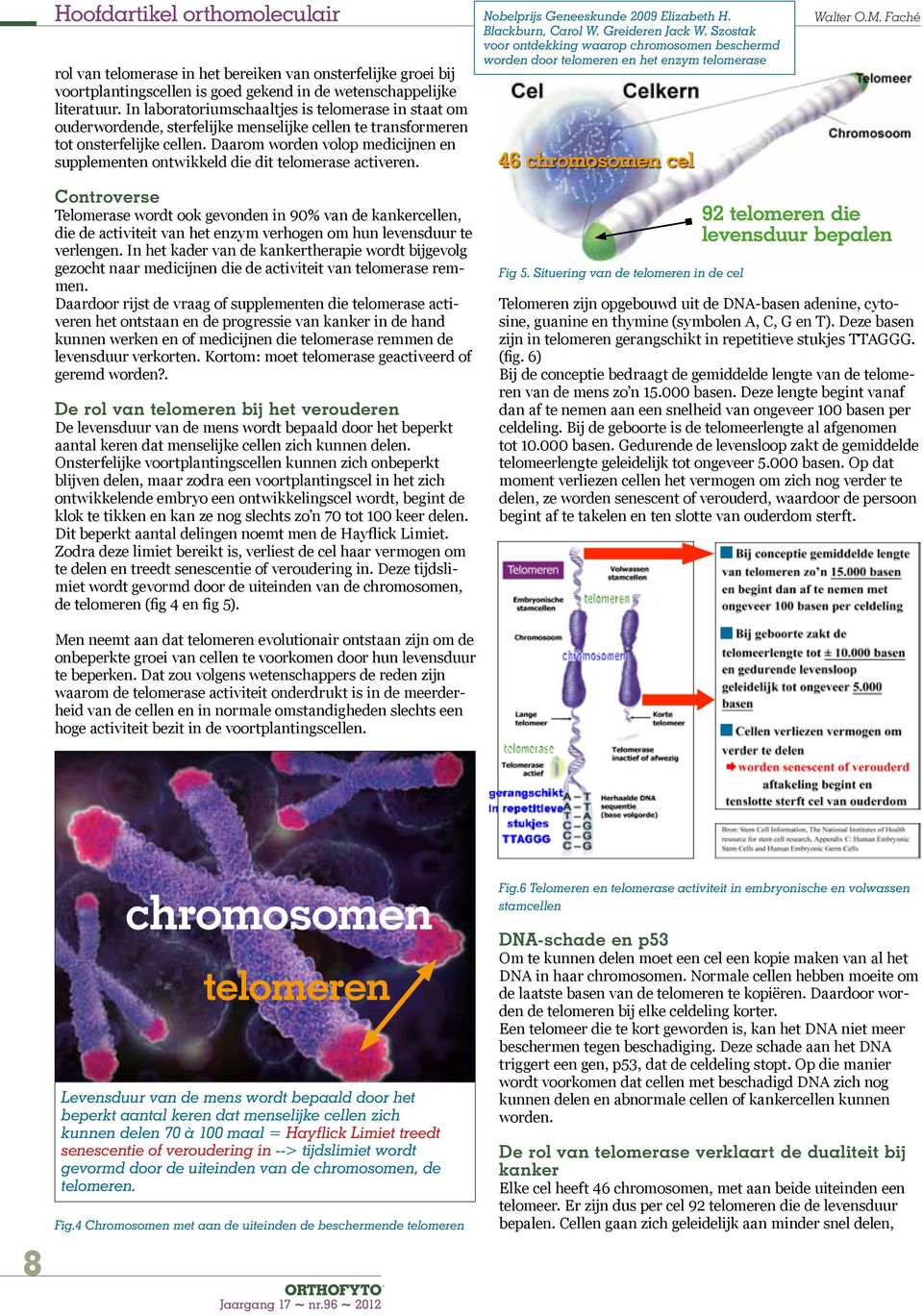 Daarom worden volop medicijnen en supplementen ontwikkeld die dit telomerase activeren. Nobelprijs Geneeskunde 2009 Elizabeth H. Blackburn, Carol W. Greideren Jack W.