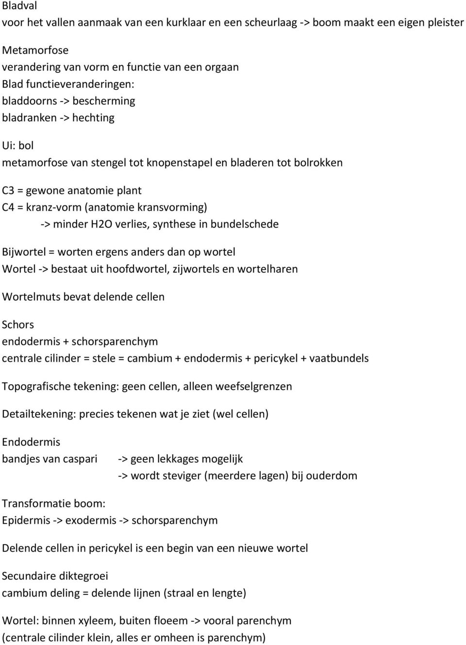 synthese in bundelschede Bijwortel = worten ergens anders dan op wortel Wortel -> bestaat uit hoofdwortel, zijwortels en wortelharen Wortelmuts bevat delende cellen Schors endodermis +