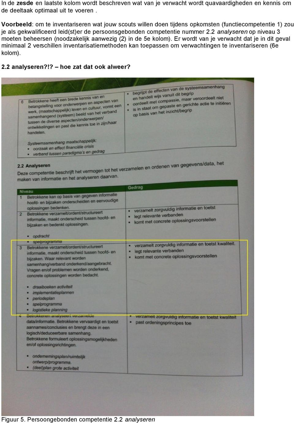 competentie nummer 2.2 analyseren op niveau 3 moeten beheersen (noodzakelijk aanwezig (2) in de 5e kolom).