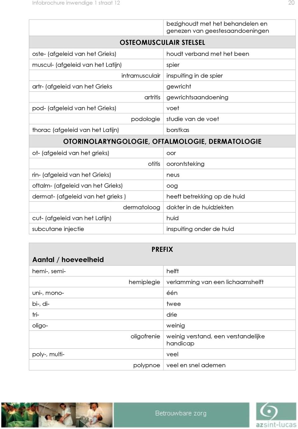 vet studie van de vet brstkas OTORINOLARYNGOLOGIE, OFTALMOLOGIE, DERMATOLOGIE t- (afgeleid van het grieks) rin- (afgeleid van het Grieks) ftalm- (afgeleid van het Grieks) dermat- (afgeleid van het