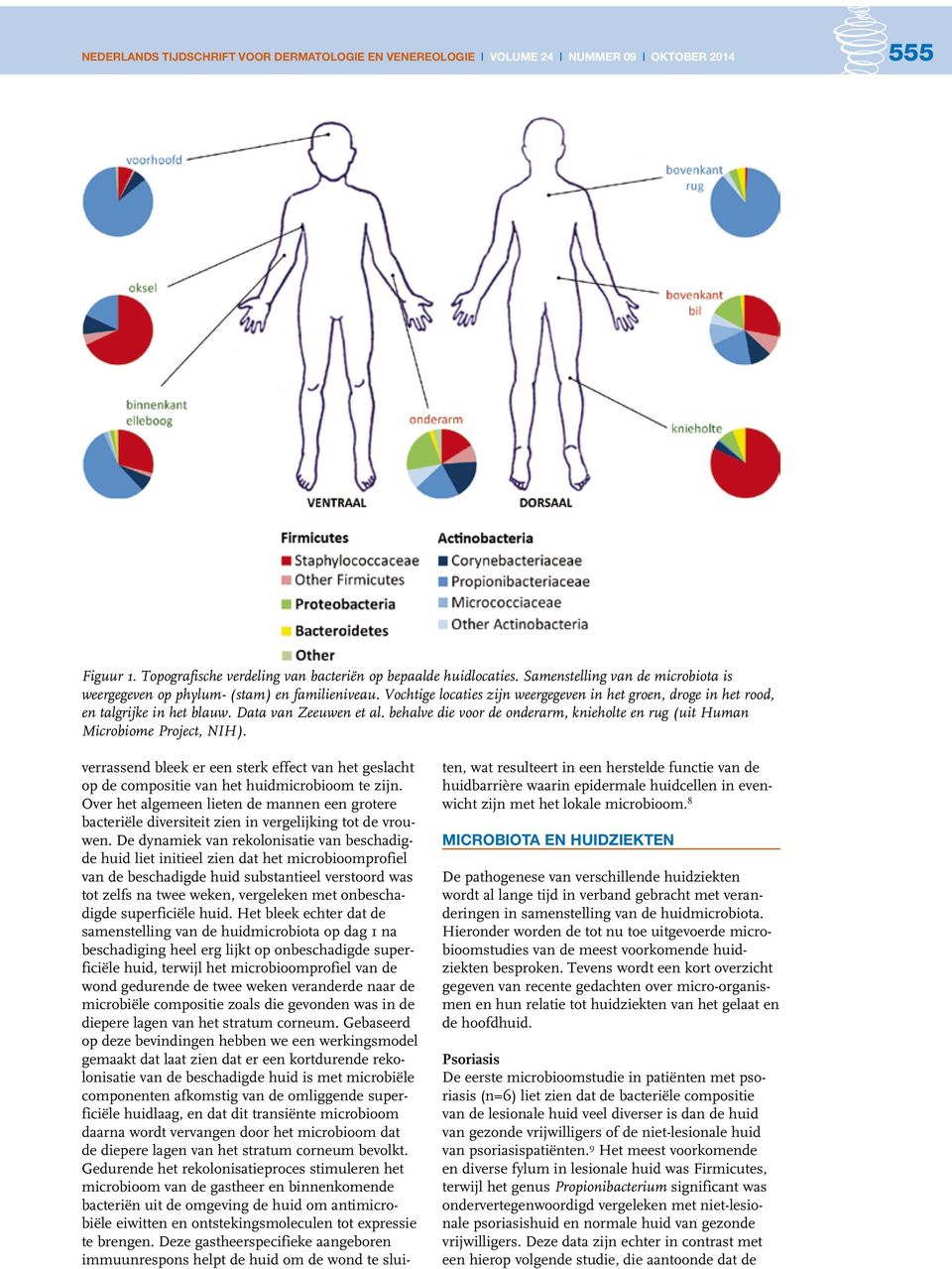 Data van Zeeuwen et al. behalve die voor de onderarm, knieholte en rug (uit Human Microbiome Project, NIH).