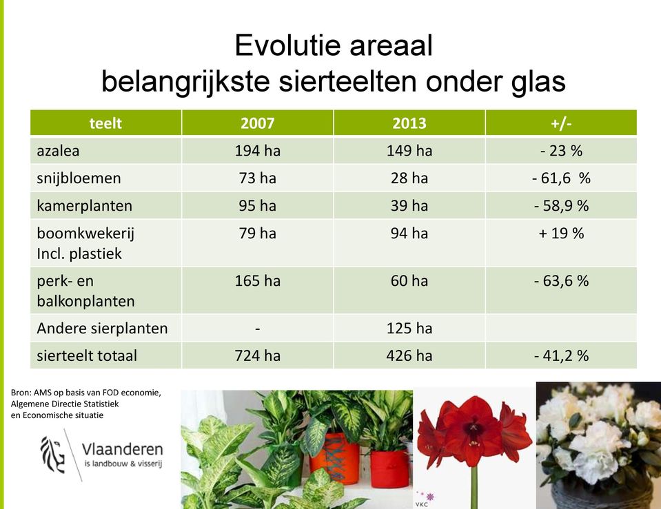 plastiek perk- en balkonplanten 79 ha 94 ha + 19 % 165 ha 60 ha - 63,6 % Andere sierplanten - 125 ha