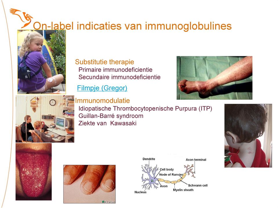 immunodeficientie Filmpje (Gregor) Immunomodulatie