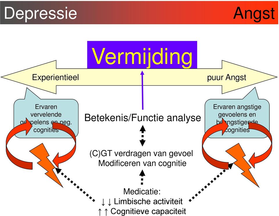 cognities Betekenis/Functie analyse Ervaren angstige gevoelens en