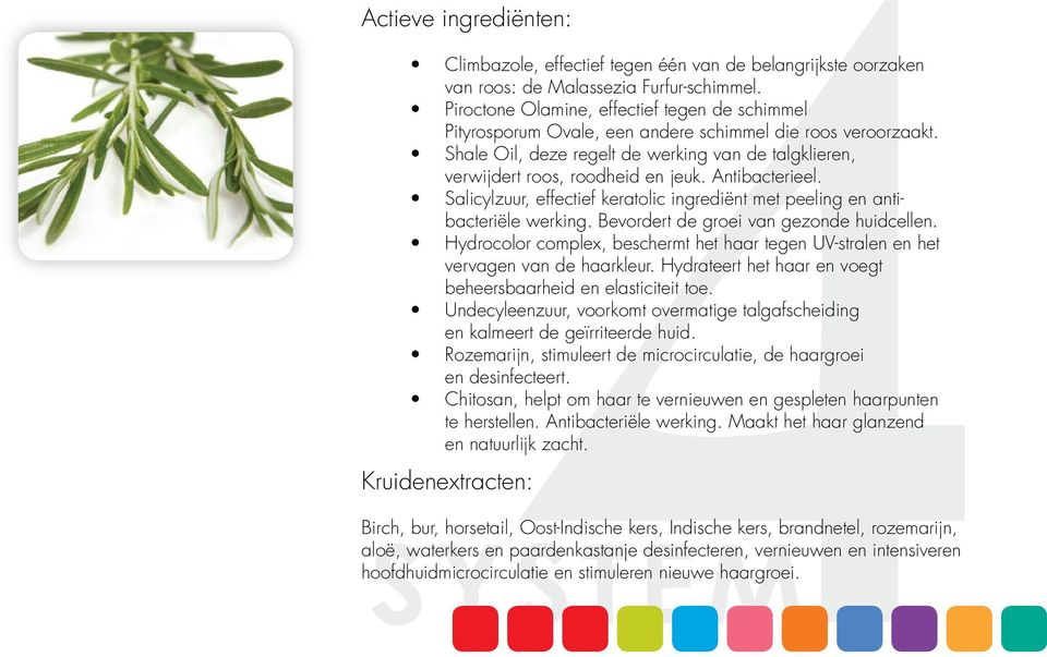 Antibacterieel. Salicylzuur, effectief keratolic ingrediënt met peeling en antibacteriële werking. Bevordert de groei van gezonde huidcellen.