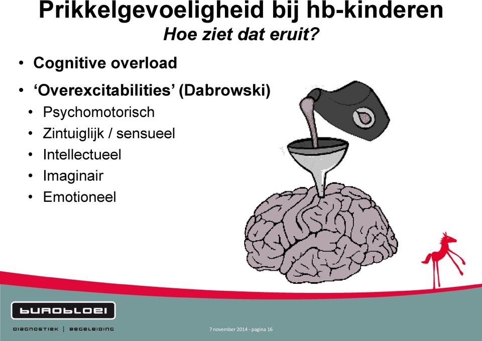 Cognitive overload Overexcitabilities (Dabrowski)