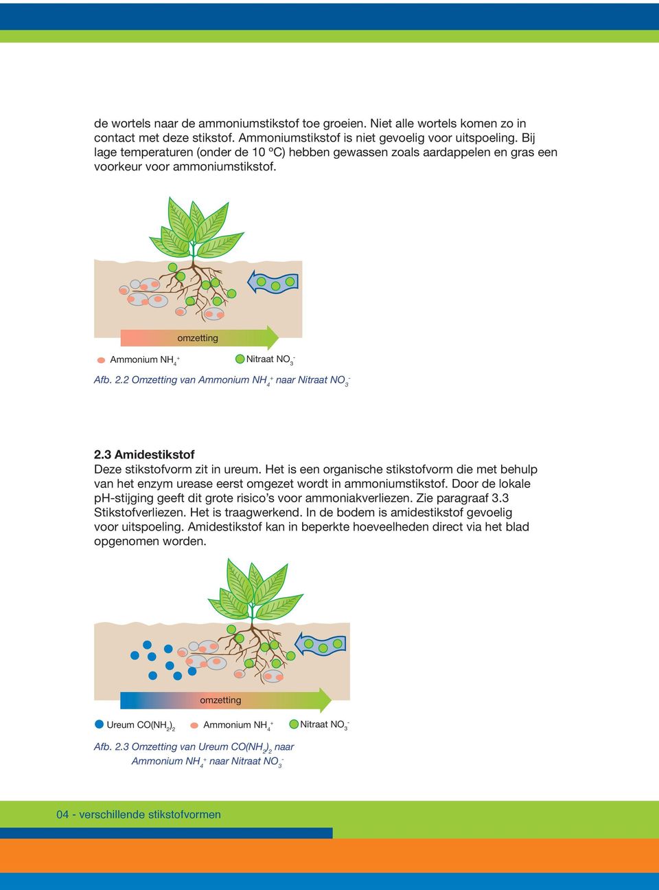 2 Omzetting van Ammonium N 4 + naar Nitraat NO 3 2.3 Amidestikstof Deze stikstofvorm zit in ureum.