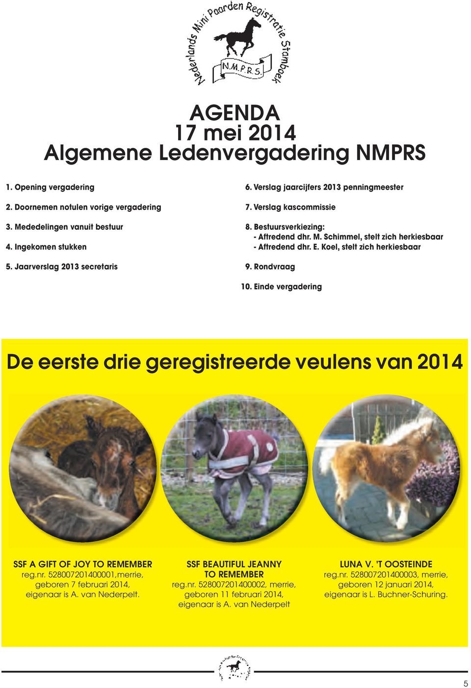 Rondvraag 10. Einde vergadering De eerste drie geregistreerde veulens van 2014 SSF A GIFT OF JOY TO REMEMBER reg.nr. 528007201400001,merrie, geboren 7 februari 2014, eigenaar is A. van Nederpelt.