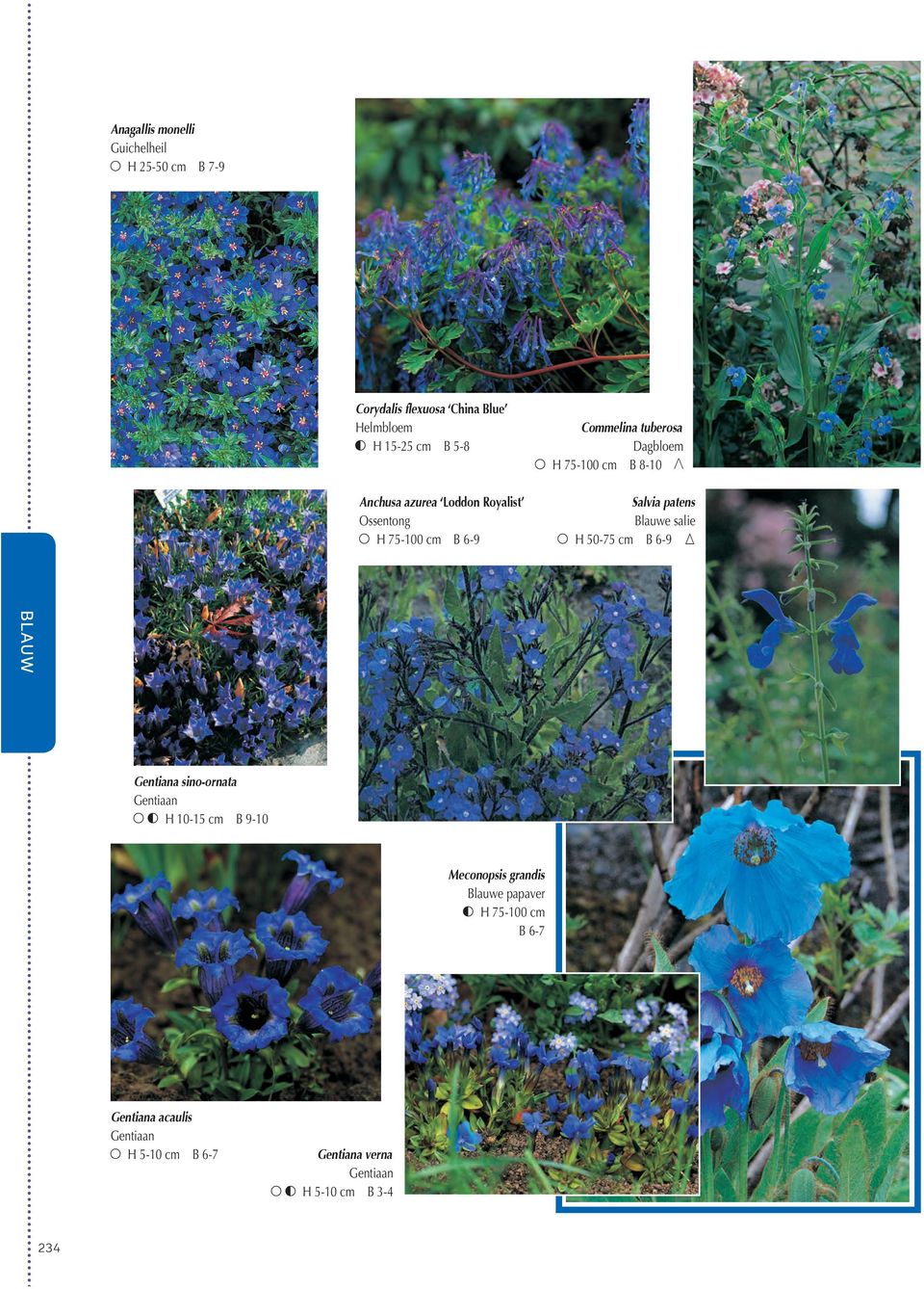 Salvia patens Blauwe salie H 50-75 cm B 6-9 Gentiana sino-ornata Gentiaan H 10-15 cm B 9-10 Meconopsis