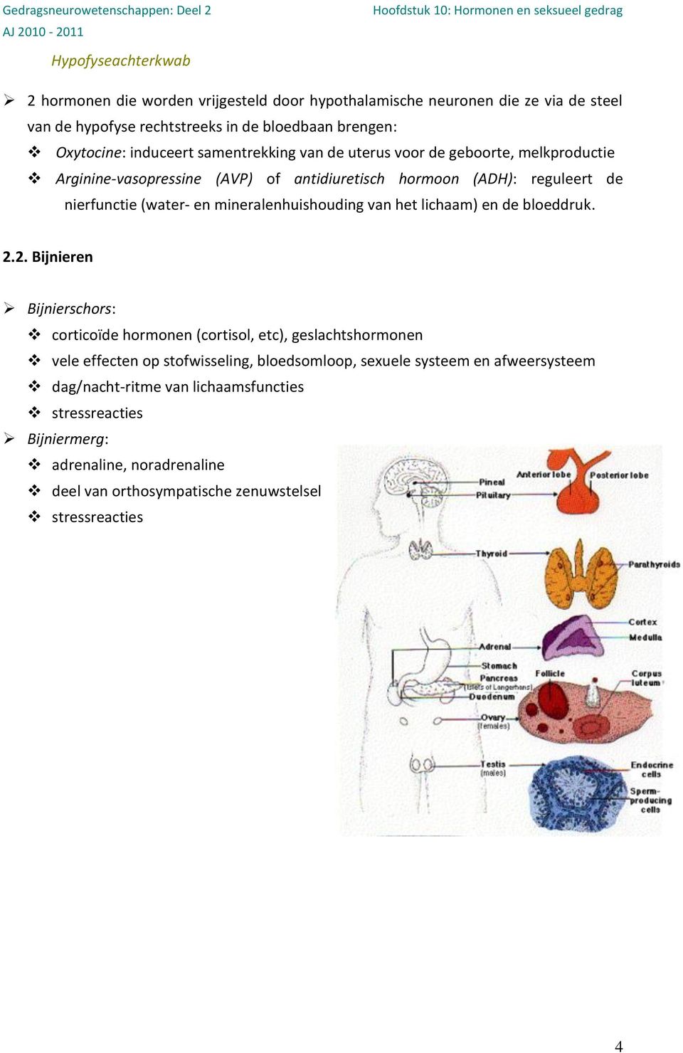mineralenhuishouding van het lichaam) en de bloeddruk. 2.