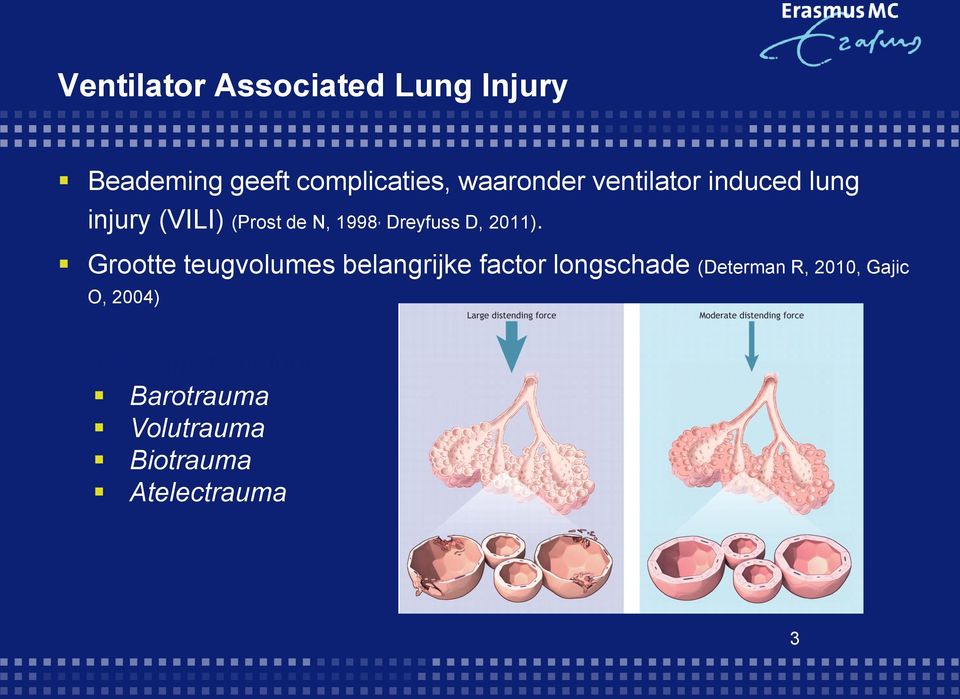 Grootte teugvolumes belangrijke factor longschade (Determan R, 2010, Gajic O,
