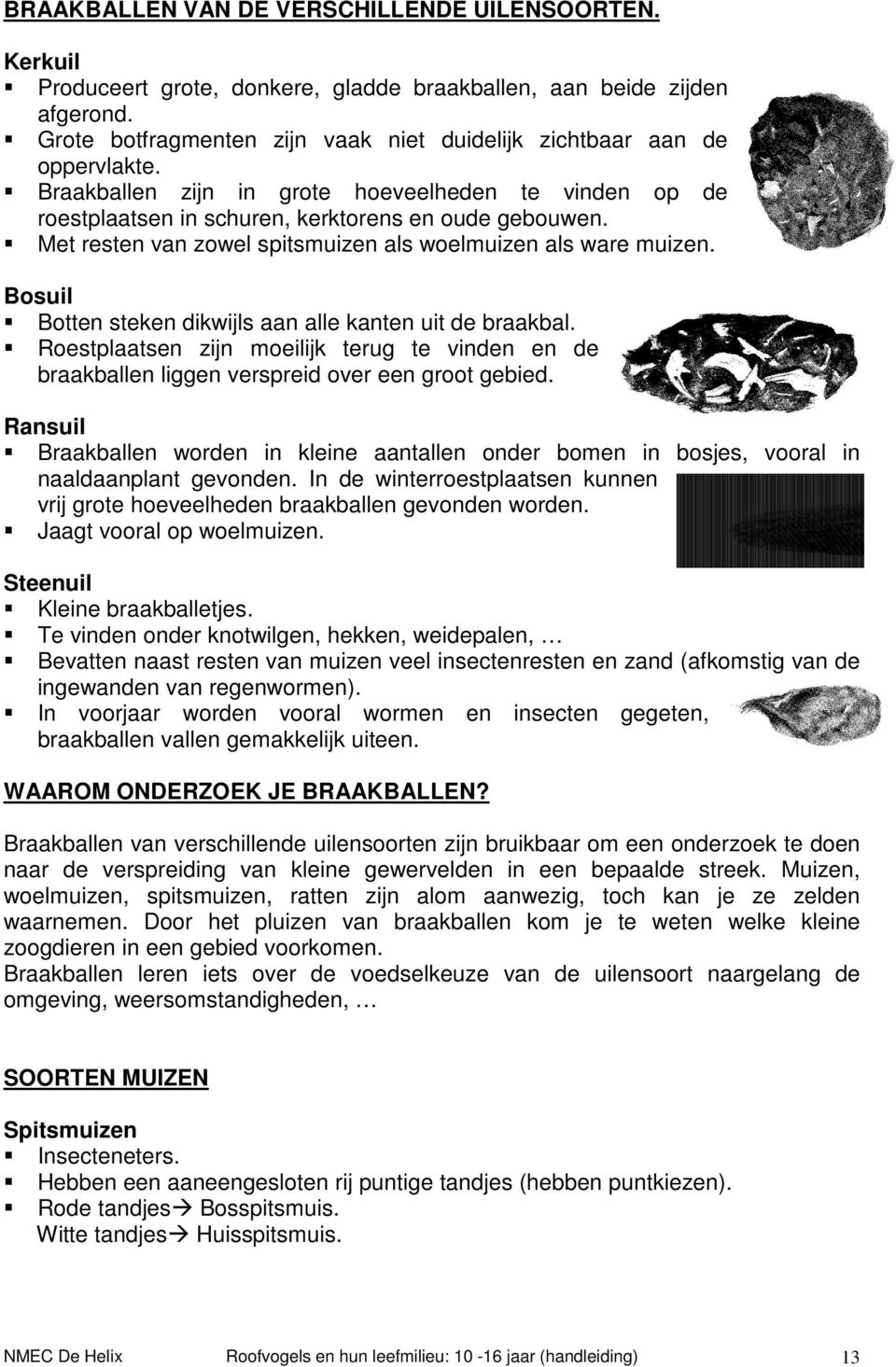 Met resten van zowel spitsmuizen als woelmuizen als ware muizen. Bosuil Botten steken dikwijls aan alle kanten uit de braakbal.