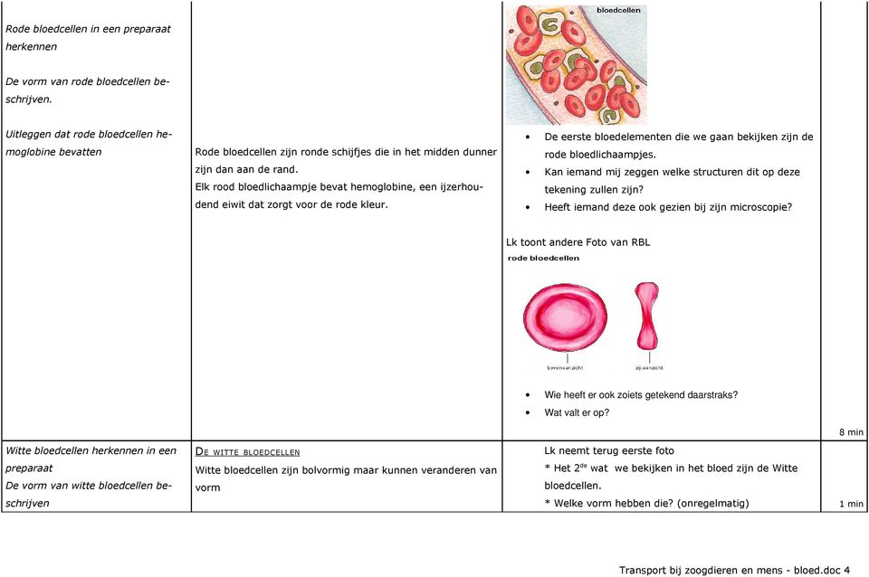 Elk rood bloedlichaampje bevat hemoglobine, een ijzerhoudend eiwit dat zorgt voor de rode kleur. De eerste bloedelementen die we gaan bekijken zijn de rode bloedlichaampjes.