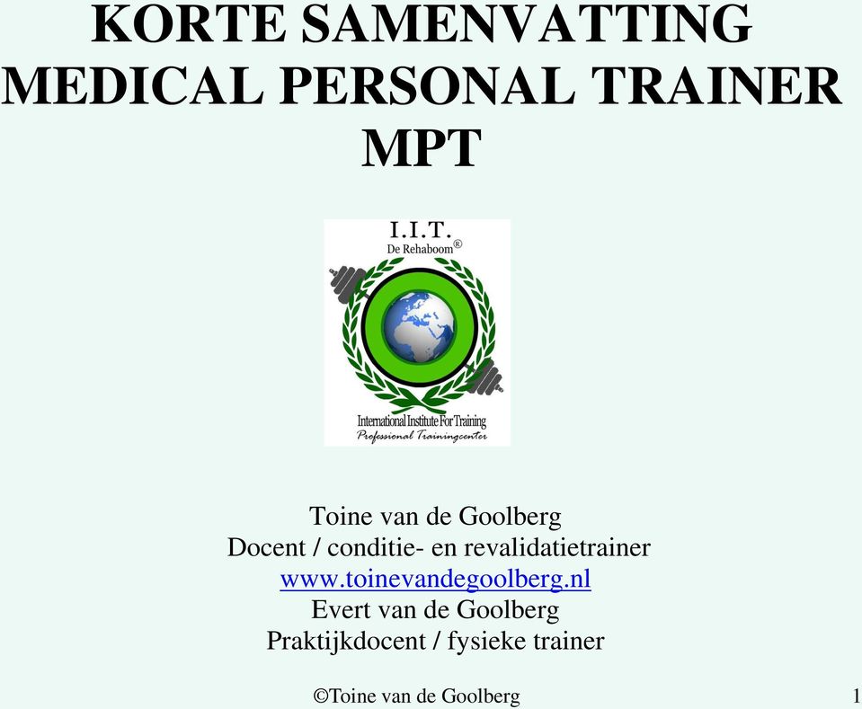 revalidatietrainer www.toinevandegoolberg.