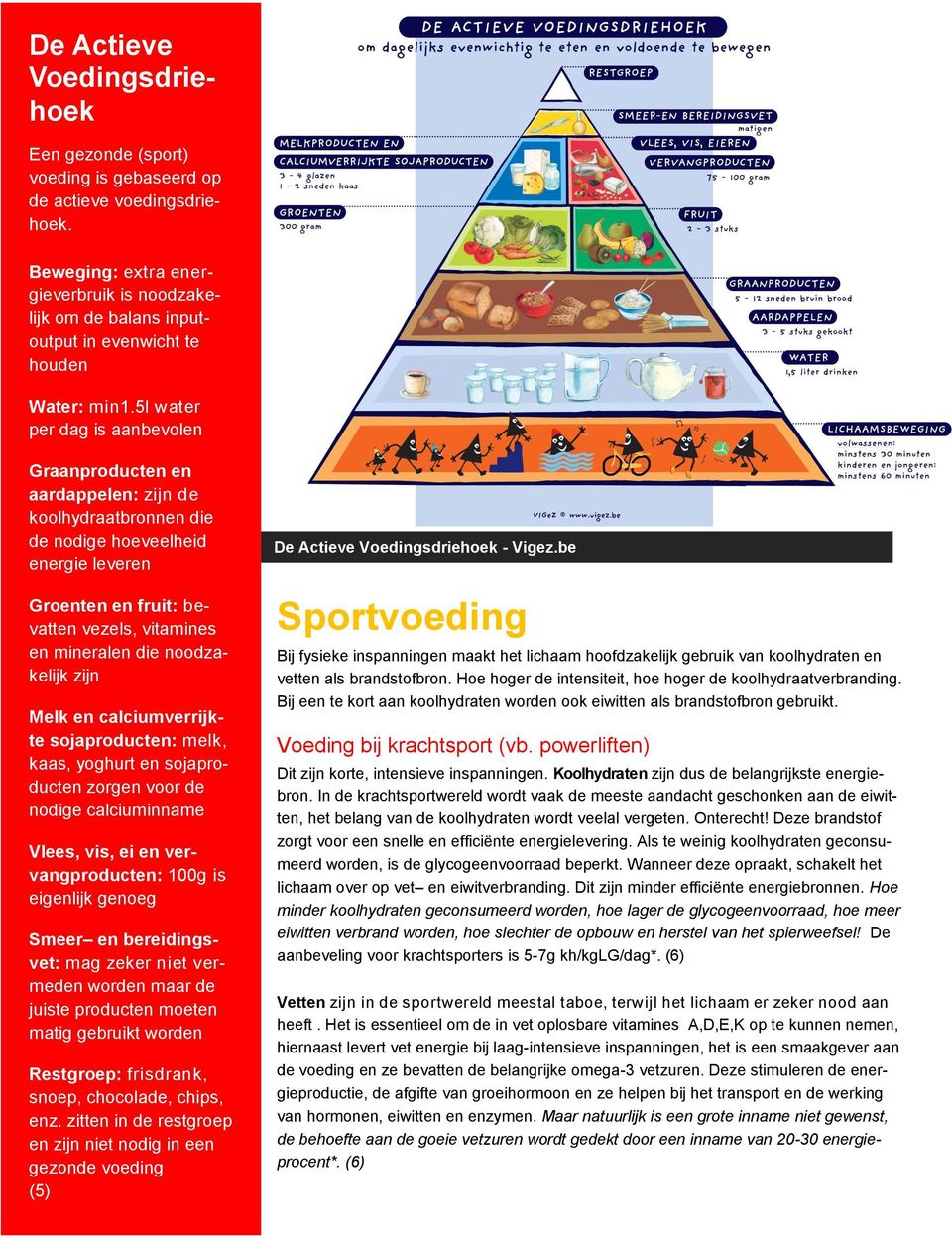 5l water per dag is aanbevolen Graanproducten en aardappelen: zijn de koolhydraatbronnen die de nodige hoeveelheid energie leveren Groenten en fruit: bevatten vezels, vitamines en mineralen die