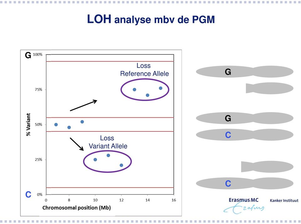 Reference Allele G