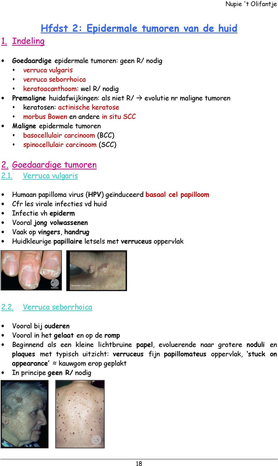 keratosen: actinische keratose morbus Bowen en andere in situ SCC Maligne epidermale tumoren basocellulair carcinoom (BCC) spinocellulair carcinoom (SCC) 2. Goedaardige tumoren 2.1.