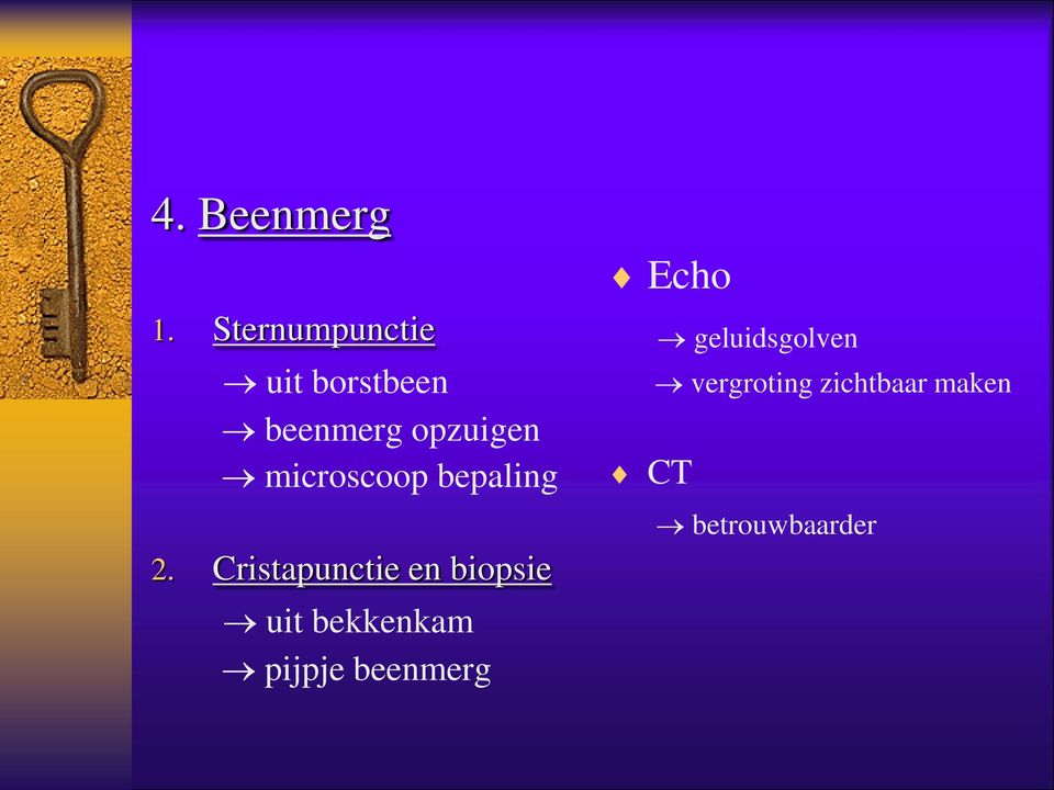 microscoop bepaling 2.