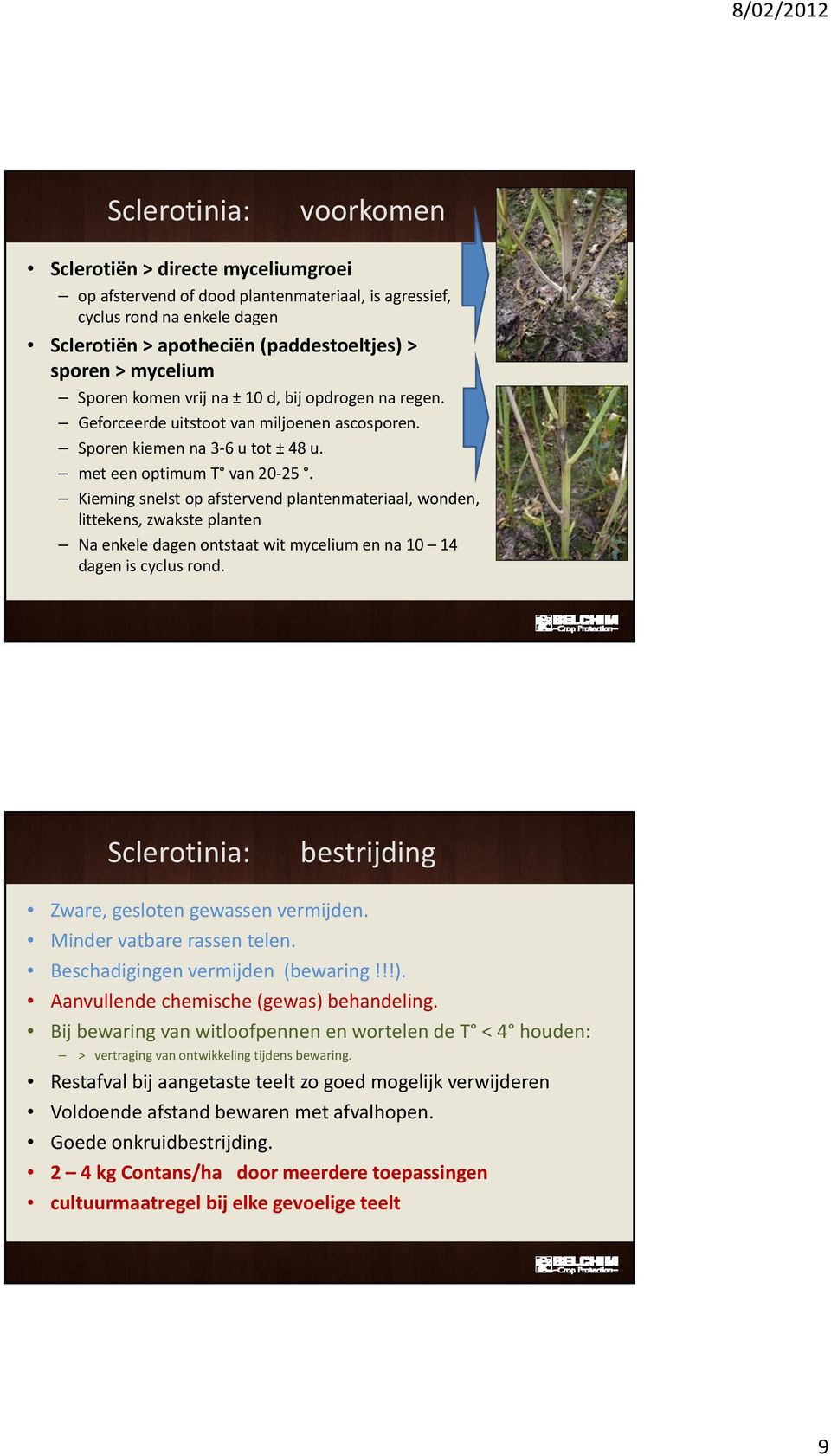 Kieming snelst op afstervend plantenmateriaal, wonden, littekens, zwakste planten Na enkele dagen ontstaat wit mycelium en na 10 14 dagen is cyclus rond.