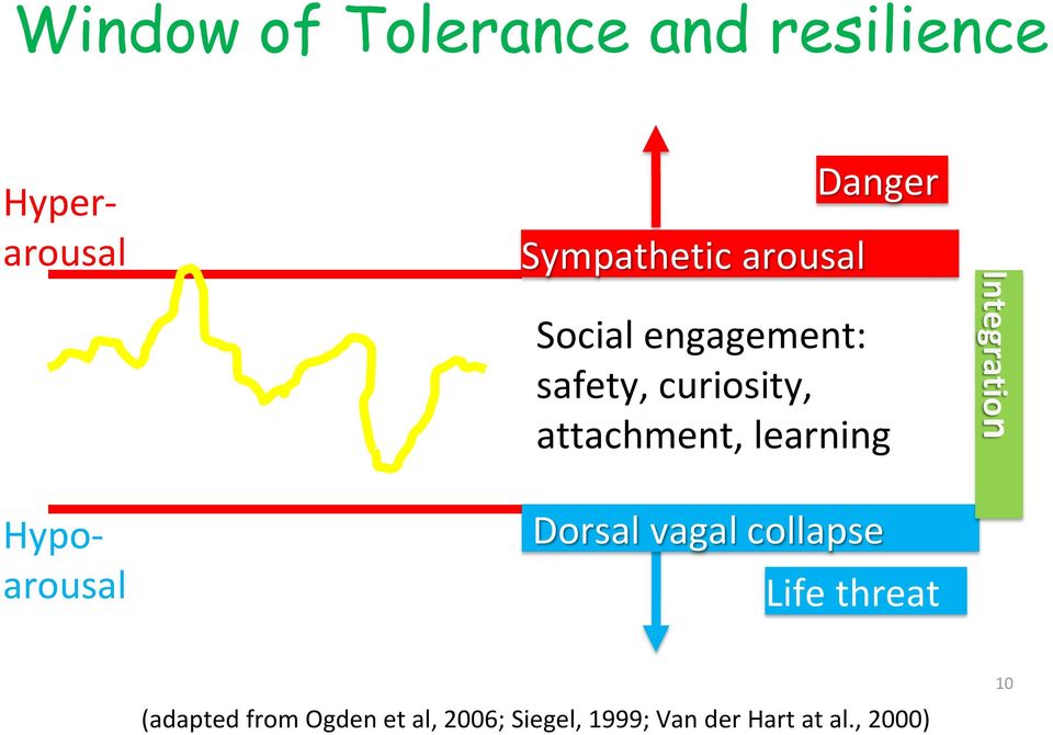 attachment, learning Dorsal vagal collapse Life threat Integration