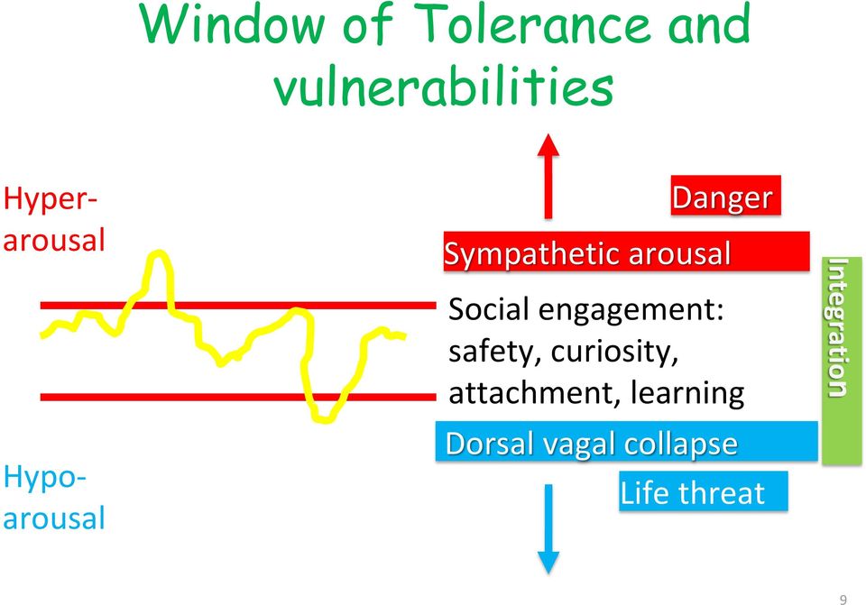 arousal Social engagement: safety, curiosity,