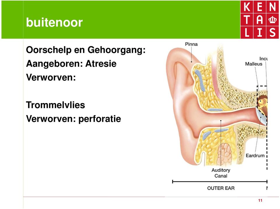 Atresie Verworven: