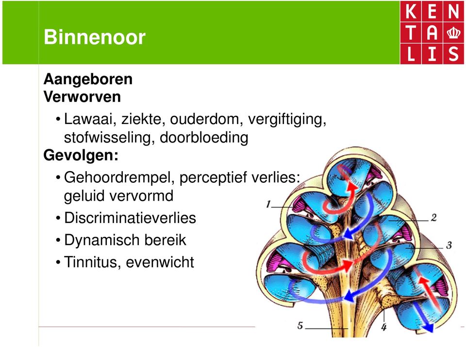 Gevolgen: Gehoordrempel, perceptief verlies: geluid