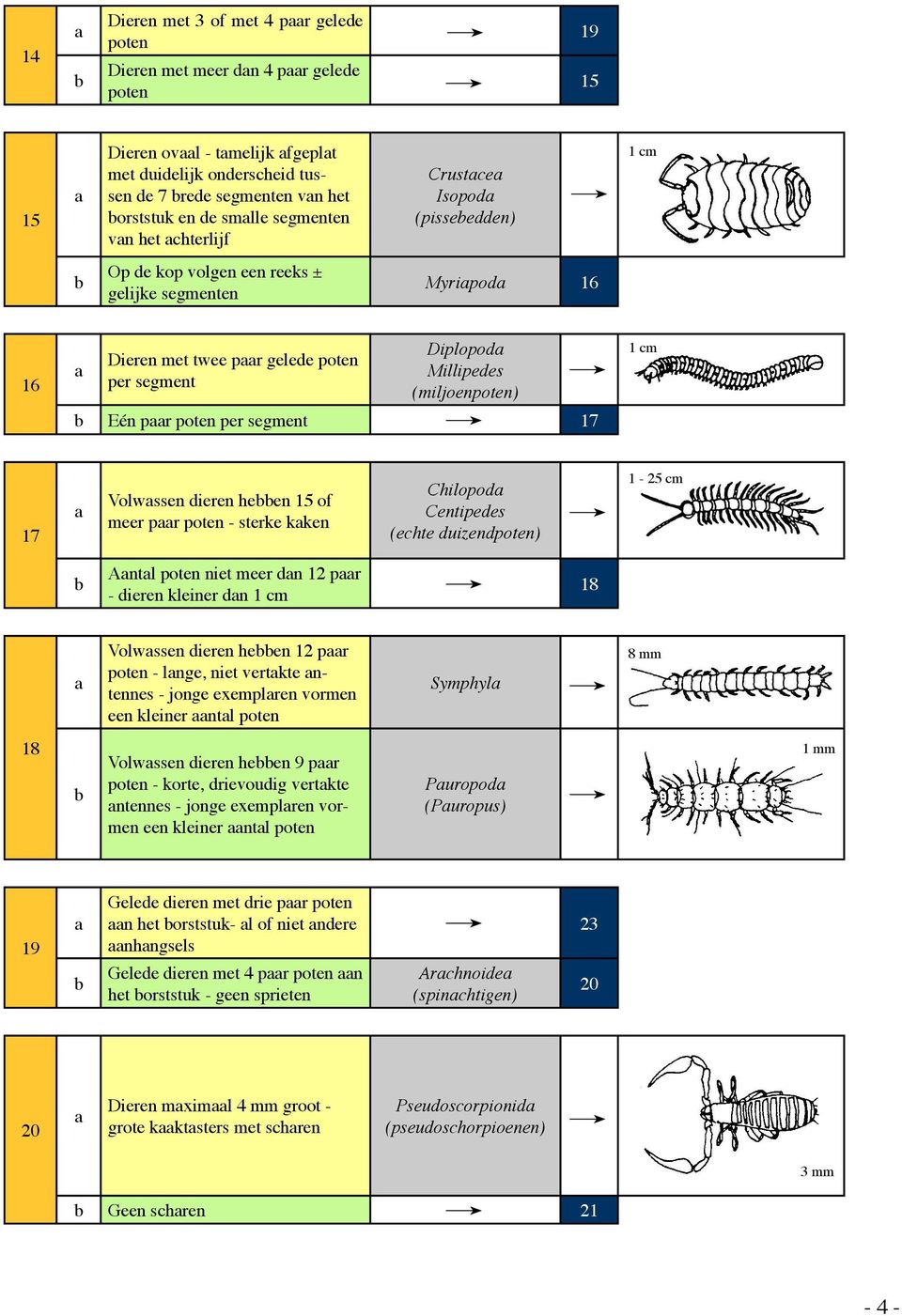 (miljoenpoten) Eén pr poten per segment 17 Volwssen dieren heen 15 of meer pr poten - sterke kken Chilopod Centipedes (echte duizendpoten) 1 cm 1 cm 1-25 cm 18 Antl poten niet meer dn 12 pr - dieren