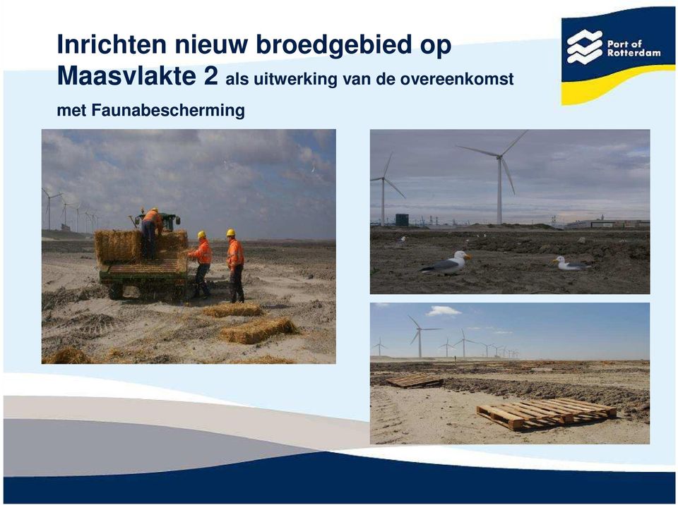 Maasvlakte 2 als